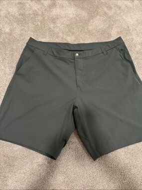 Men's Performance Stretch Shorts - Dark Gray/green